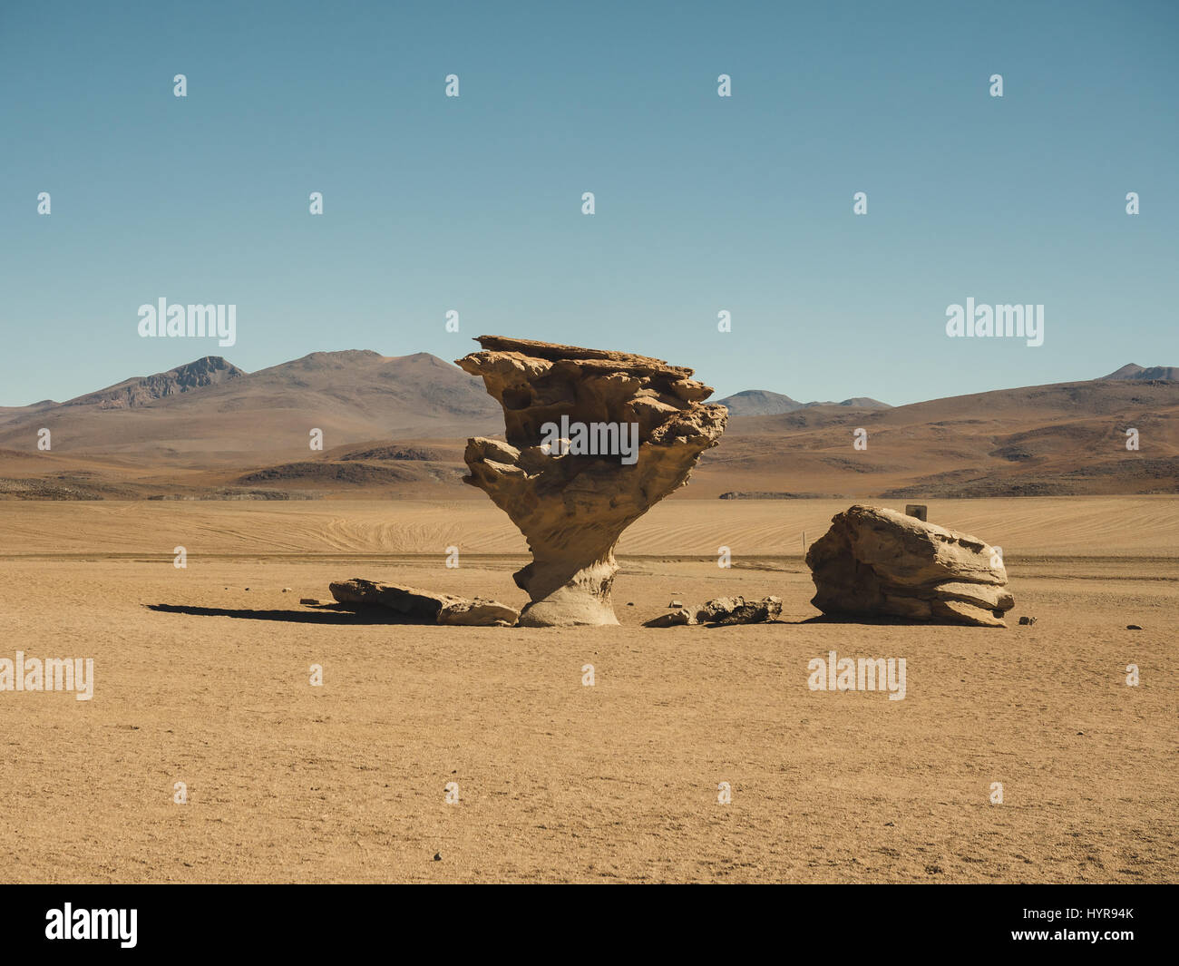 The stone tree is a rock formation located in the high desert near the border between Bolivia and Chile. Stock Photo