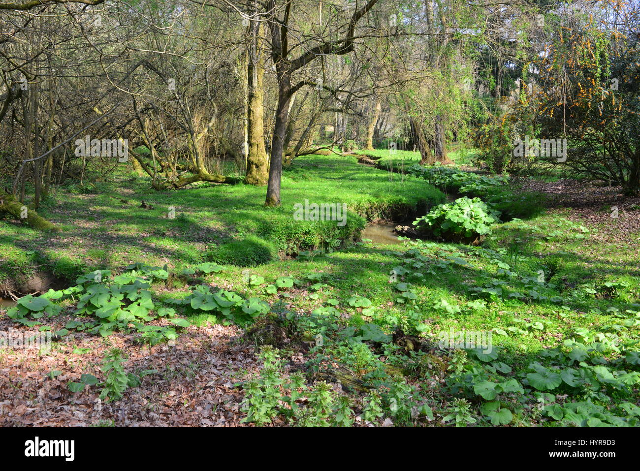 The gardens of an English country estate in Springtime. Stock Photo