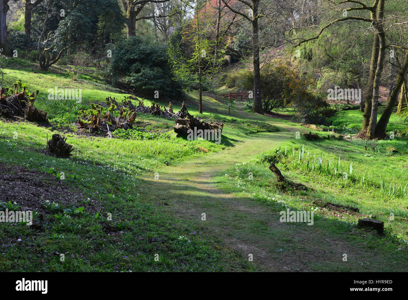 The gardens of an English country estate in Springtime Stock Photo - Alamy