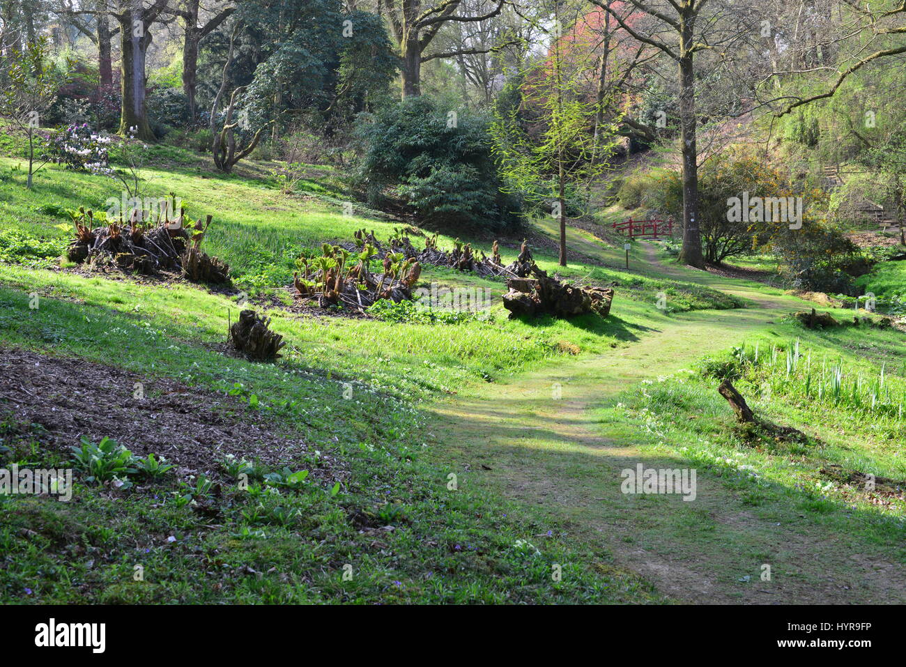 The gardens of an English country estate in Springtime Stock Photo - Alamy