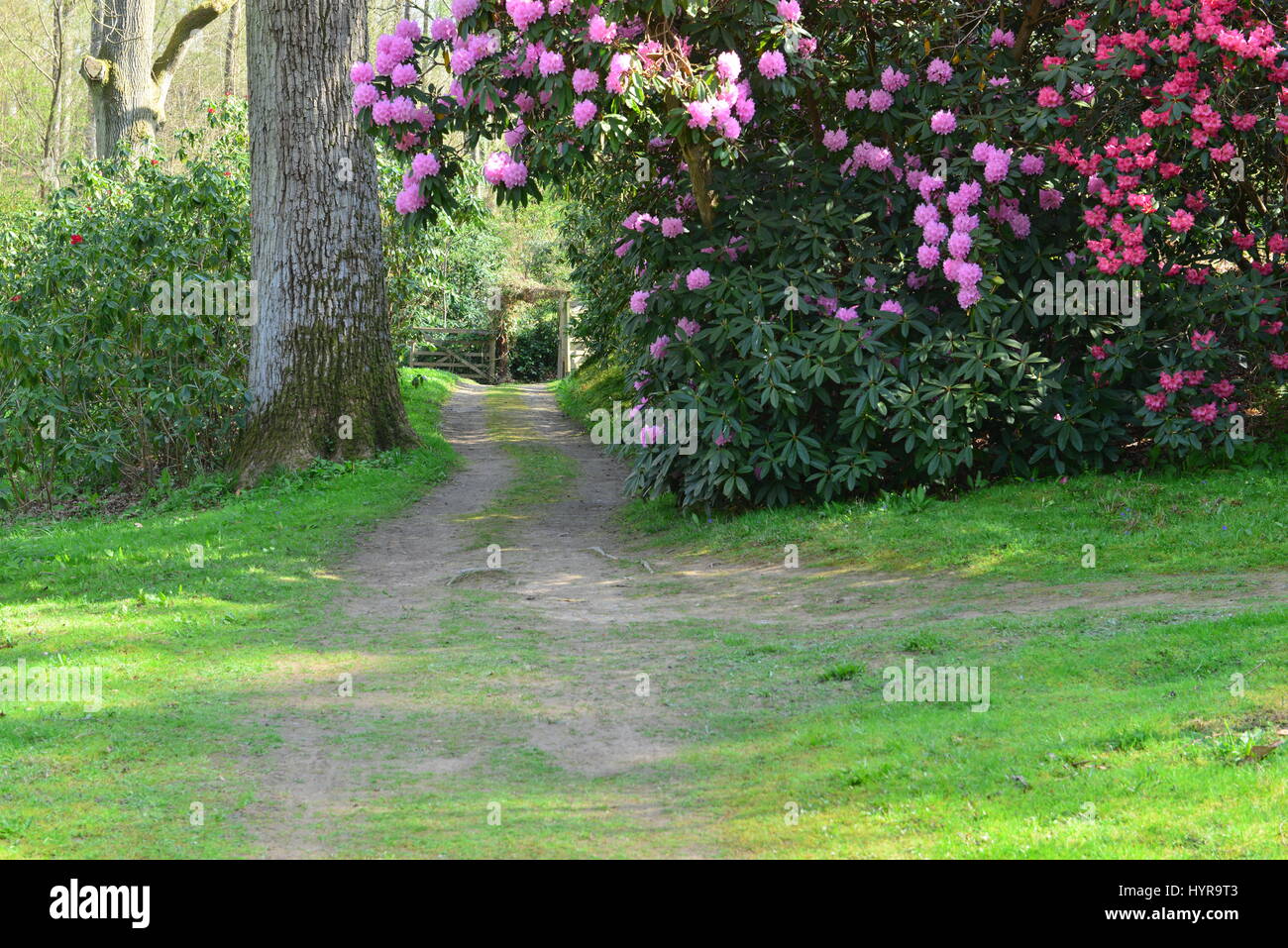 The gardens of an English country estate in Springtime. Stock Photo