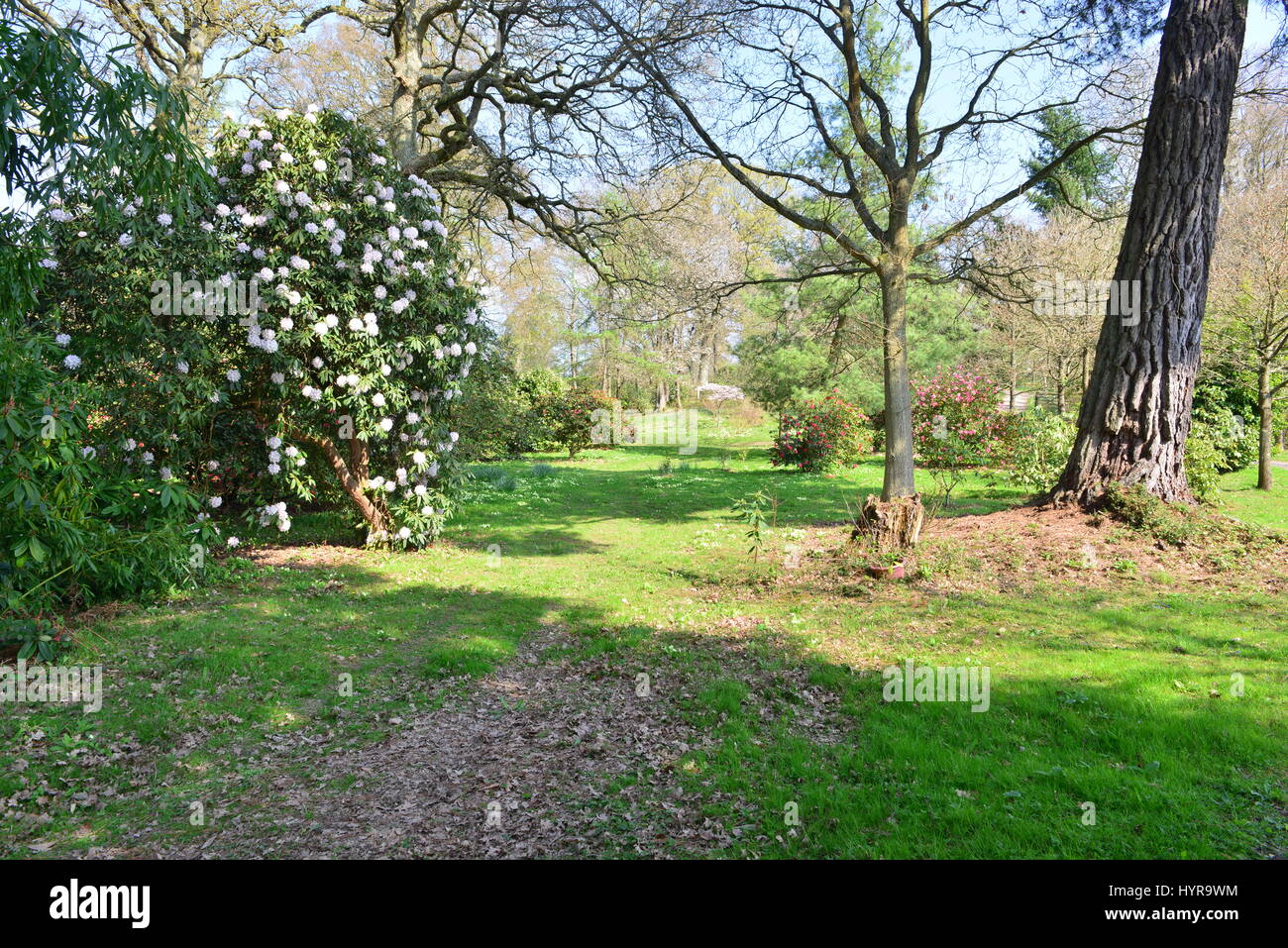 The gardens of an English country estate in Springtime. Stock Photo