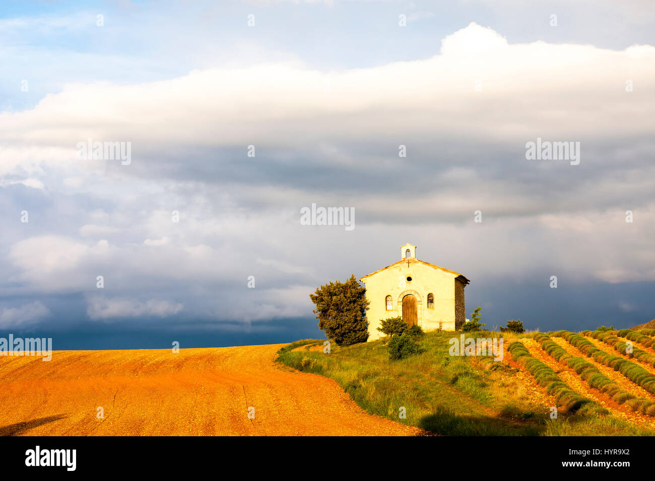 chapel with lavender field, Plateau de Valensole, Provence, France Stock Photo