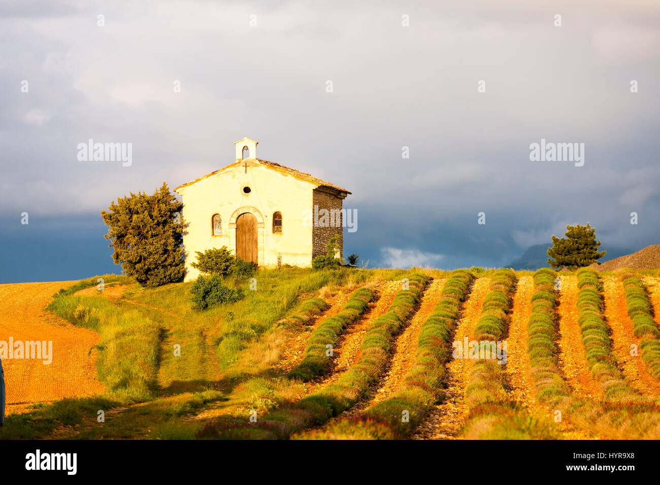 chapel with lavender field, Plateau de Valensole, Provence, France Stock Photo