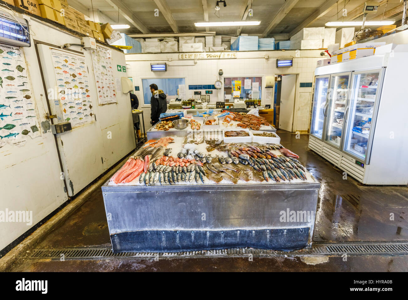 Fresh fish displayed for sale on a counter with ice in the indoor fish market at Camber Quay, Portsmouth, Hampshire, southern England Stock Photo
