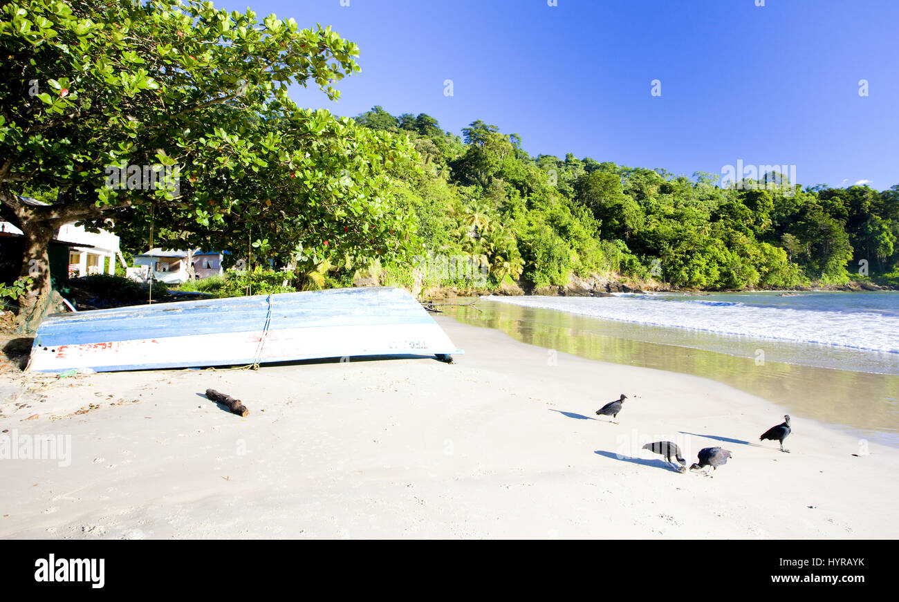 Maracas Bay, Trinidad Stock Photo Alamy