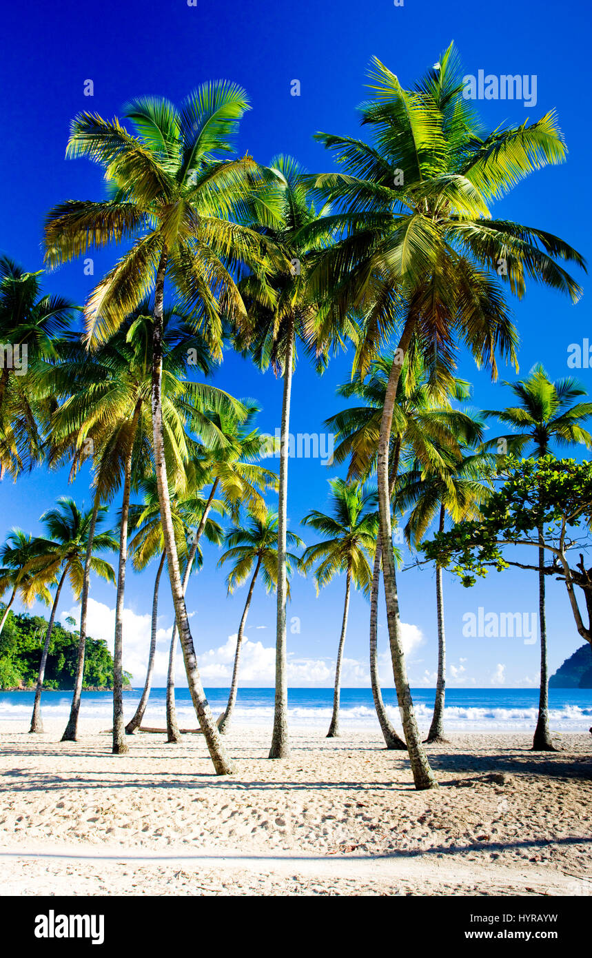 Trinidad maracas bay hires stock photography and images Alamy