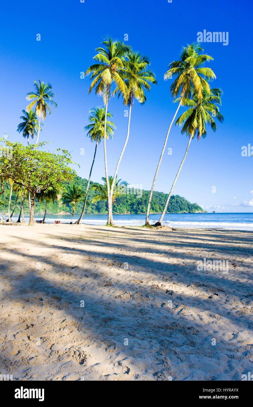 Maracas Bay Trinidad Beach High Resolution Stock Photography and Images