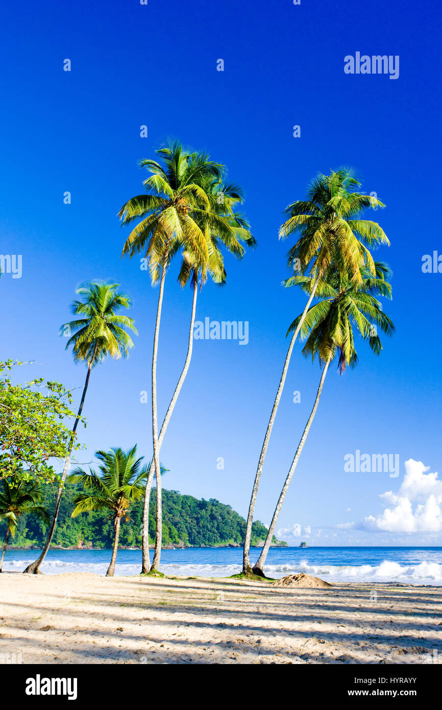 Maracas Bay, Trinidad Stock Photo Alamy
