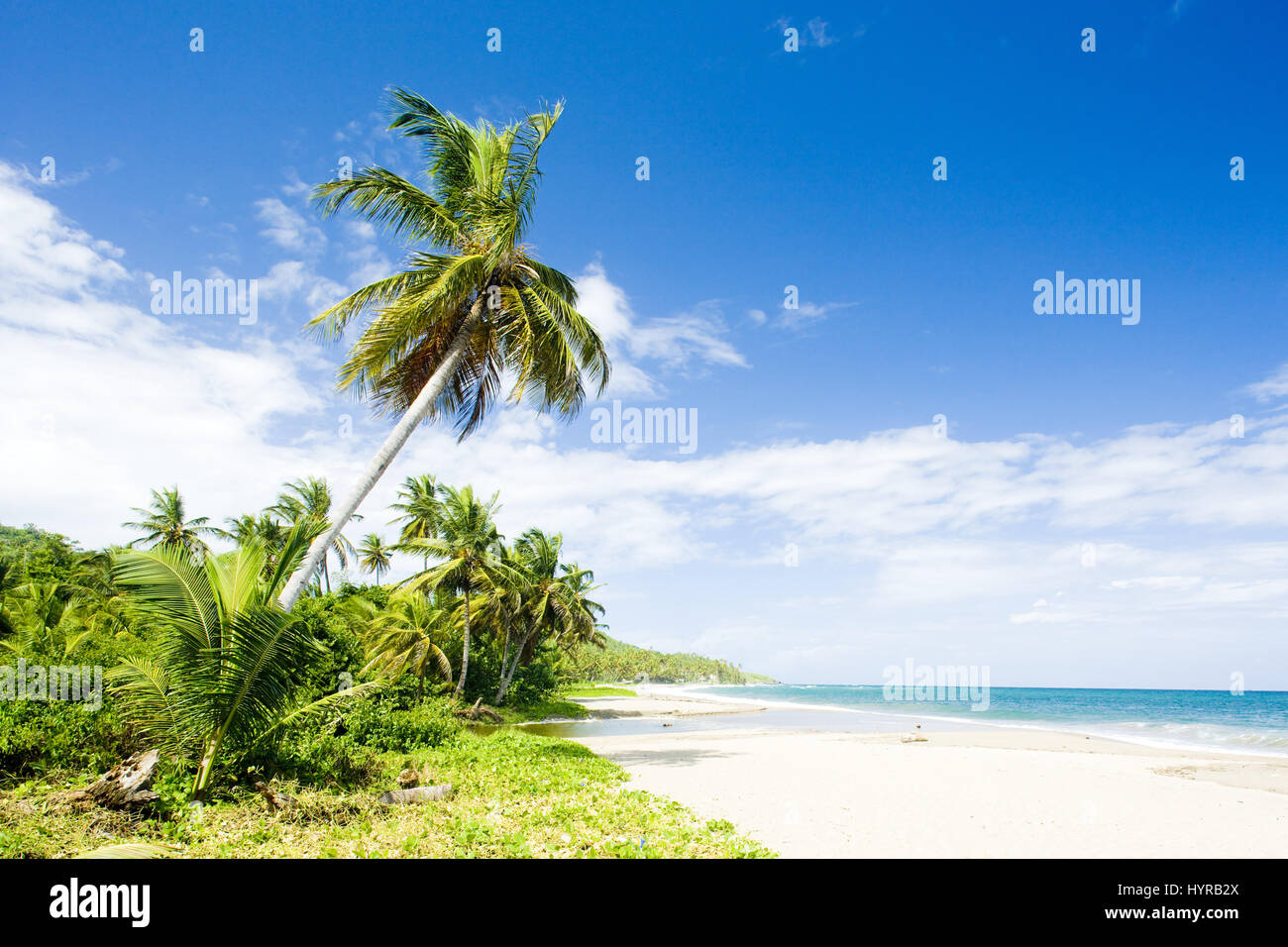 Beach grenada island caribbean central hi-res stock photography and ...