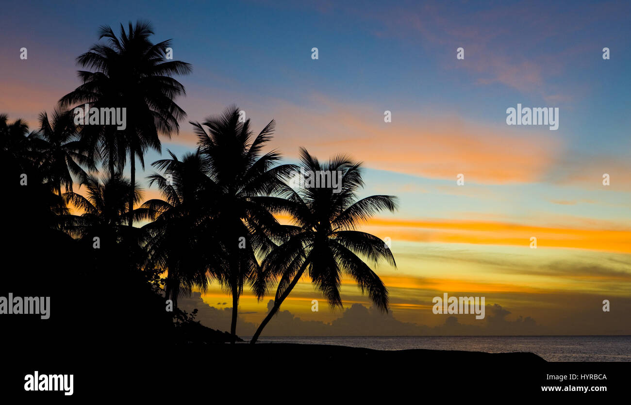 sunset over Caribbean Sea, Turtle Beach, Tobago Stock Photo - Alamy