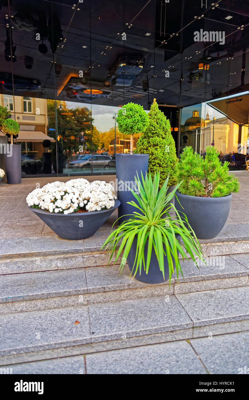Green plants and flowers on the streets of Vilnius, Lithuania Stock