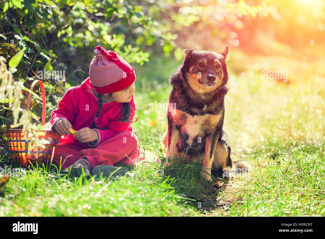 Happy little girl sitting with dog in the forest on picnic in sunny day ...