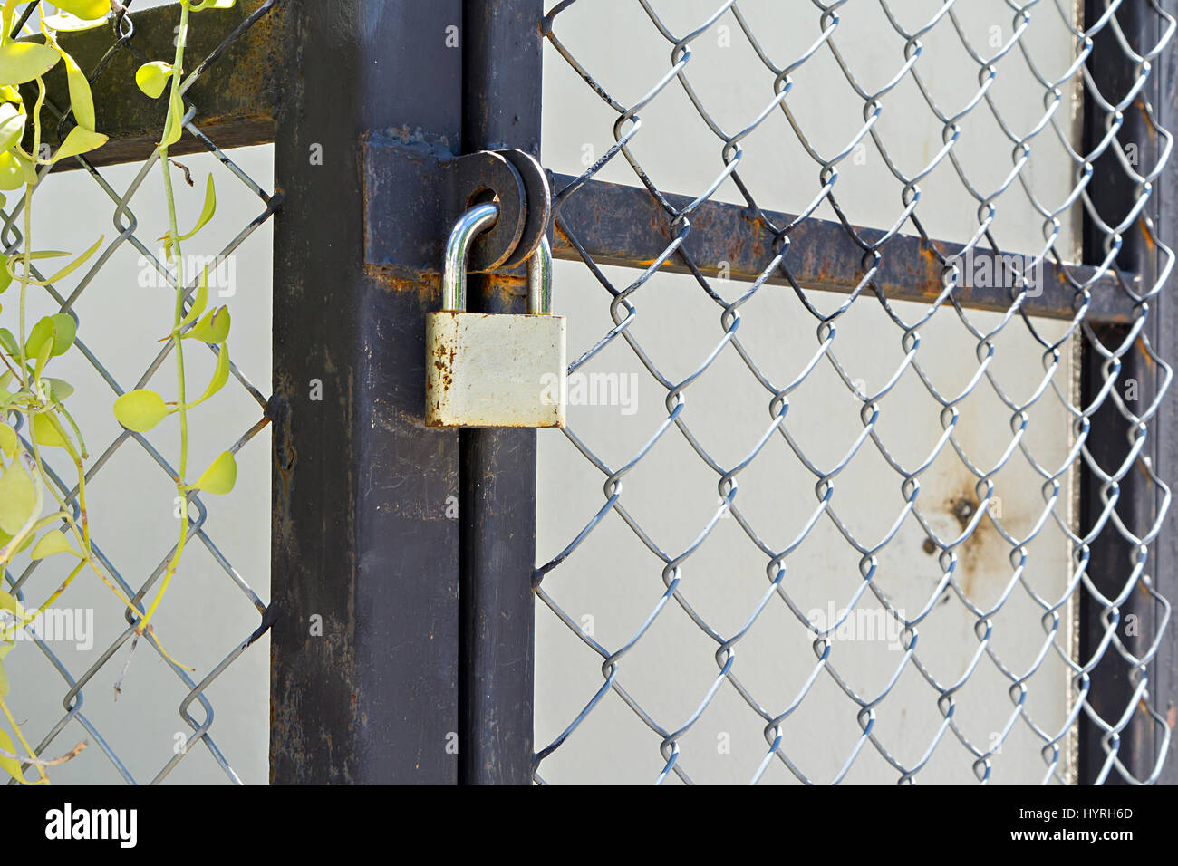 Steel Cage Door Locked Key Stock Photos Steel Cage Door