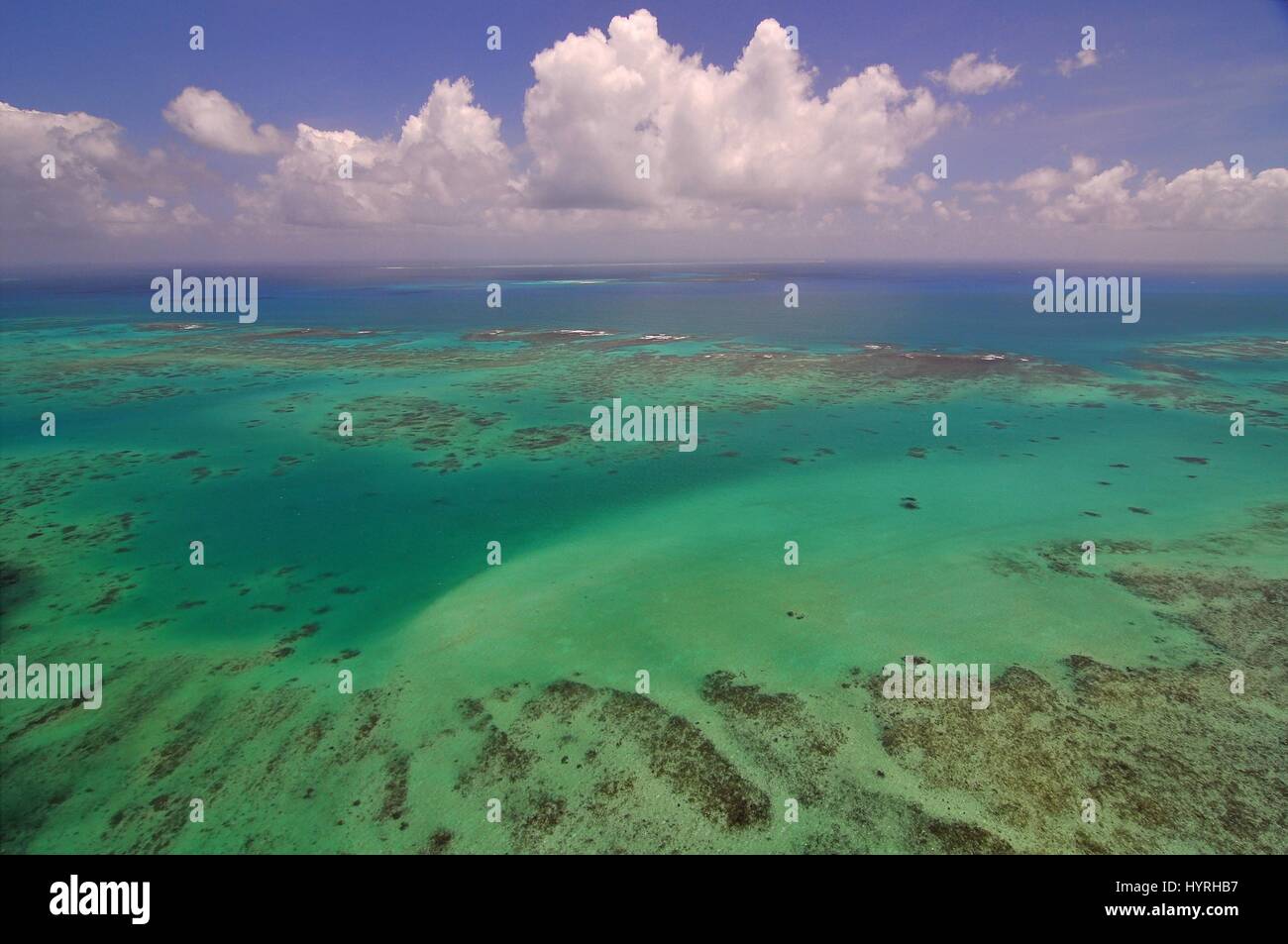 Australia, Queensland, Great Barrier Reef Stock Photo