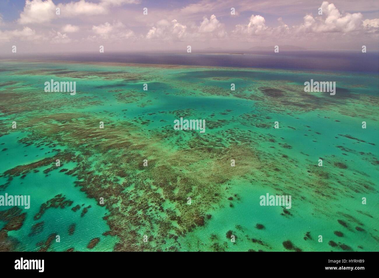 Australia, Queensland, Great Barrier Reef Stock Photo
