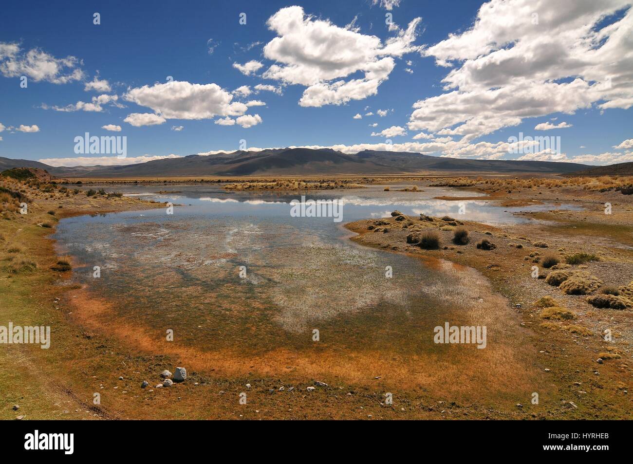 Peru, Salinas and Aguada Blanca National Reservation Stock Photo