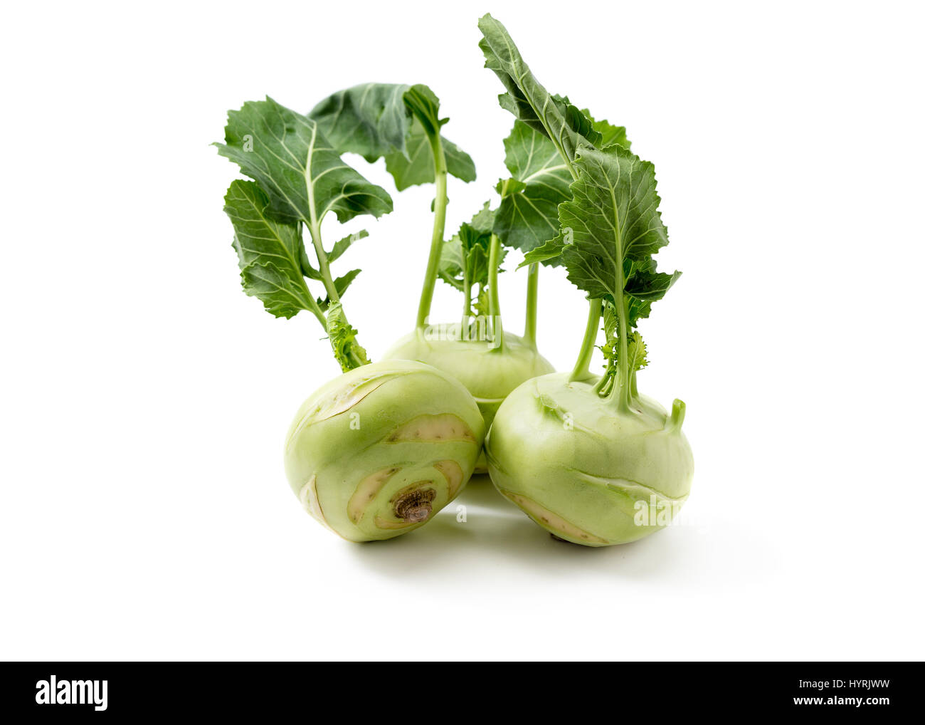 Three fresh kohlrabi with green leaves. A bunch of freshly harvested kohlrabi. Stock Photo