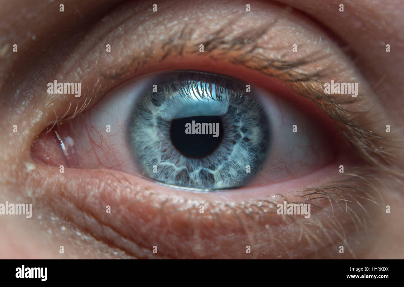 Photo of the human eye taken with the reverse lens technique Stock