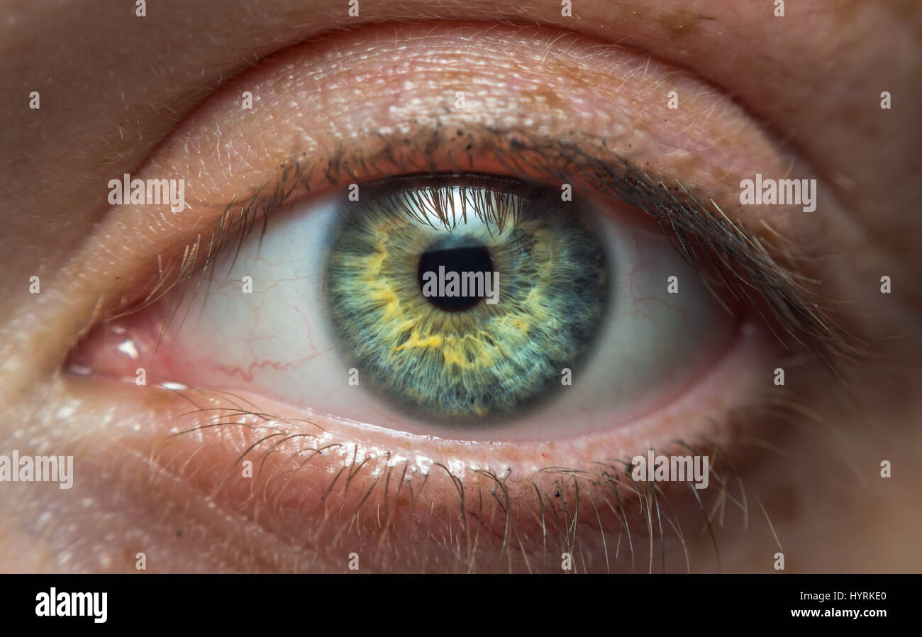 Detailed close up of a green eye of a woman Stock Photo
