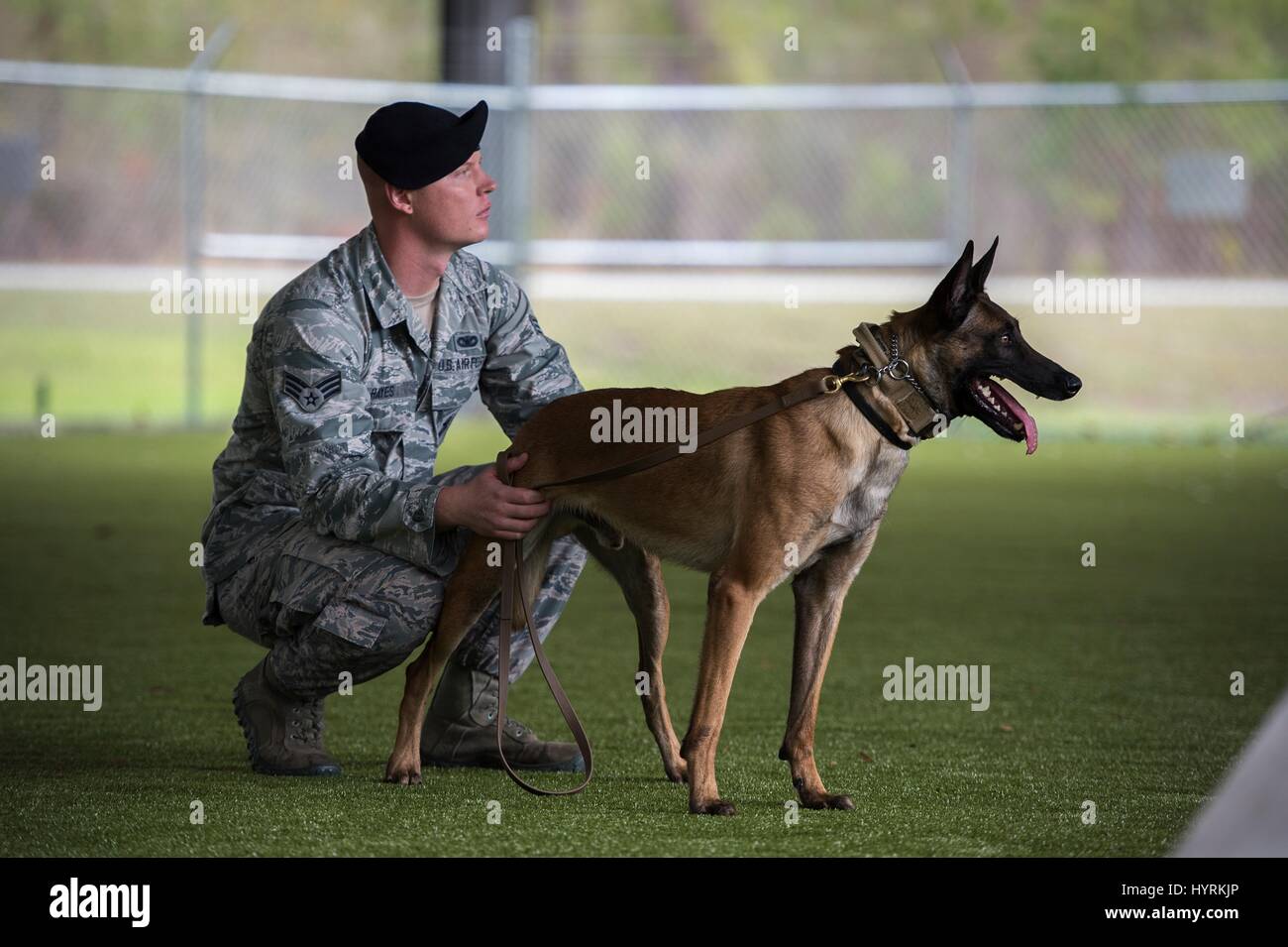 A U.S. soldier holds German Shepherd military working dog Toby during a demonstration at the Moody Air Force Base February 2, 2017 near Valdosta, Georgia. Stock Photo