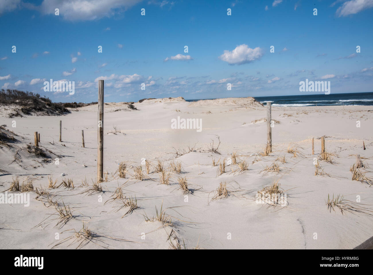 The Beach sand dunes Stock Photo - Alamy