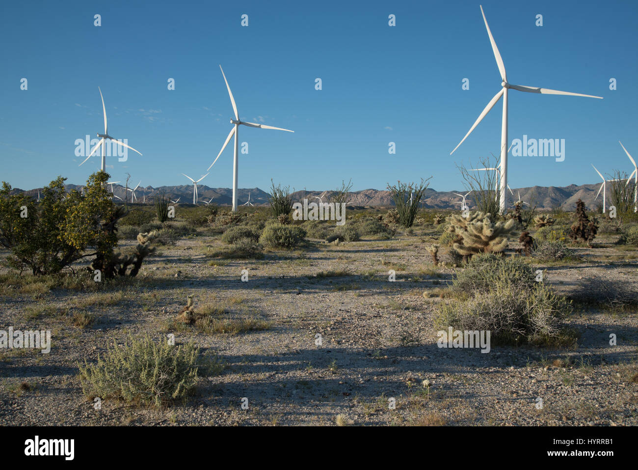 Wind Turbines at the Ocotillo Wind Facility, Imperial co., California