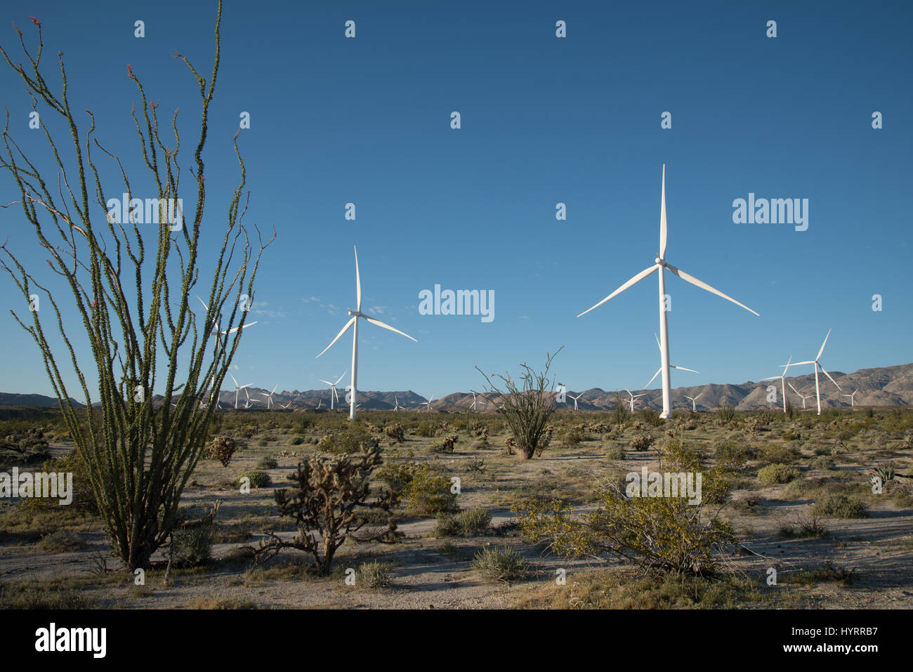 Wind Turbines at the Ocotillo Wind Facility, Imperial co., California