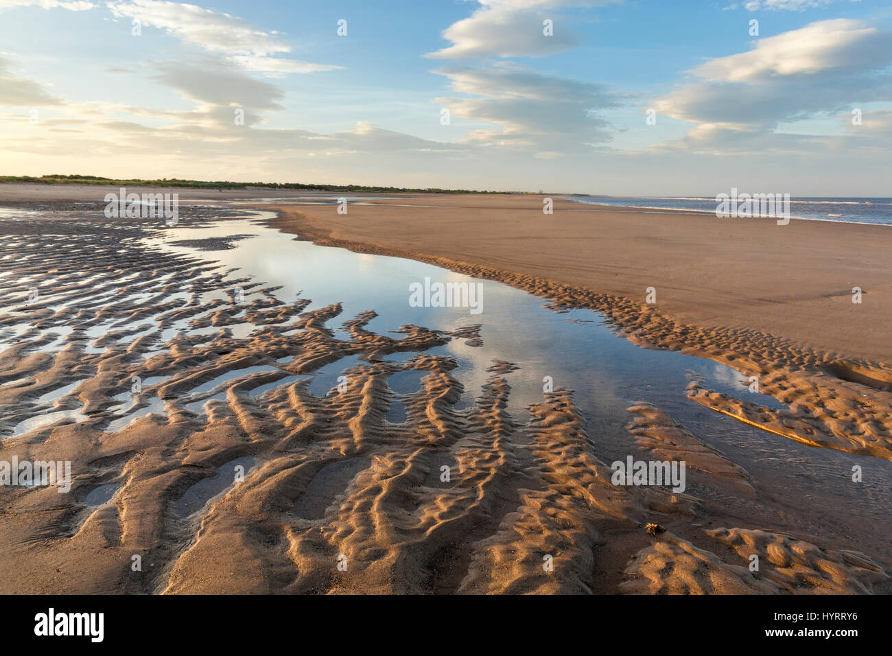 Coastal landscape with sand ripples formed from by the ebbing tide on the beach at Gibraltar Point, Lincolnshire, England, UK Stock Photo
