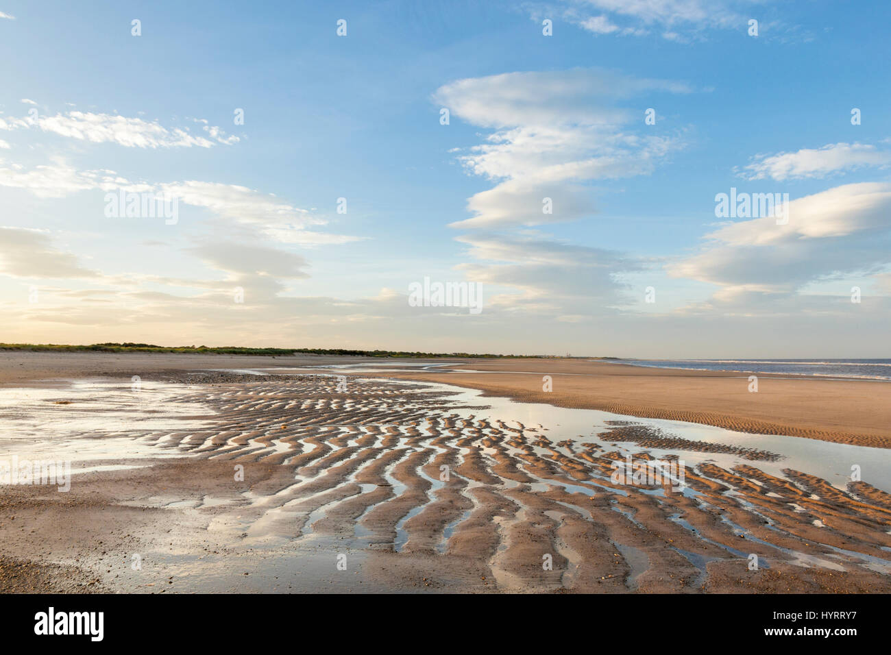Sand ripples on an empty beach in the evening formed by the outgoing tide, Gibraltar Point near Skegness, Lincolnshire coast, England, UK Stock Photo