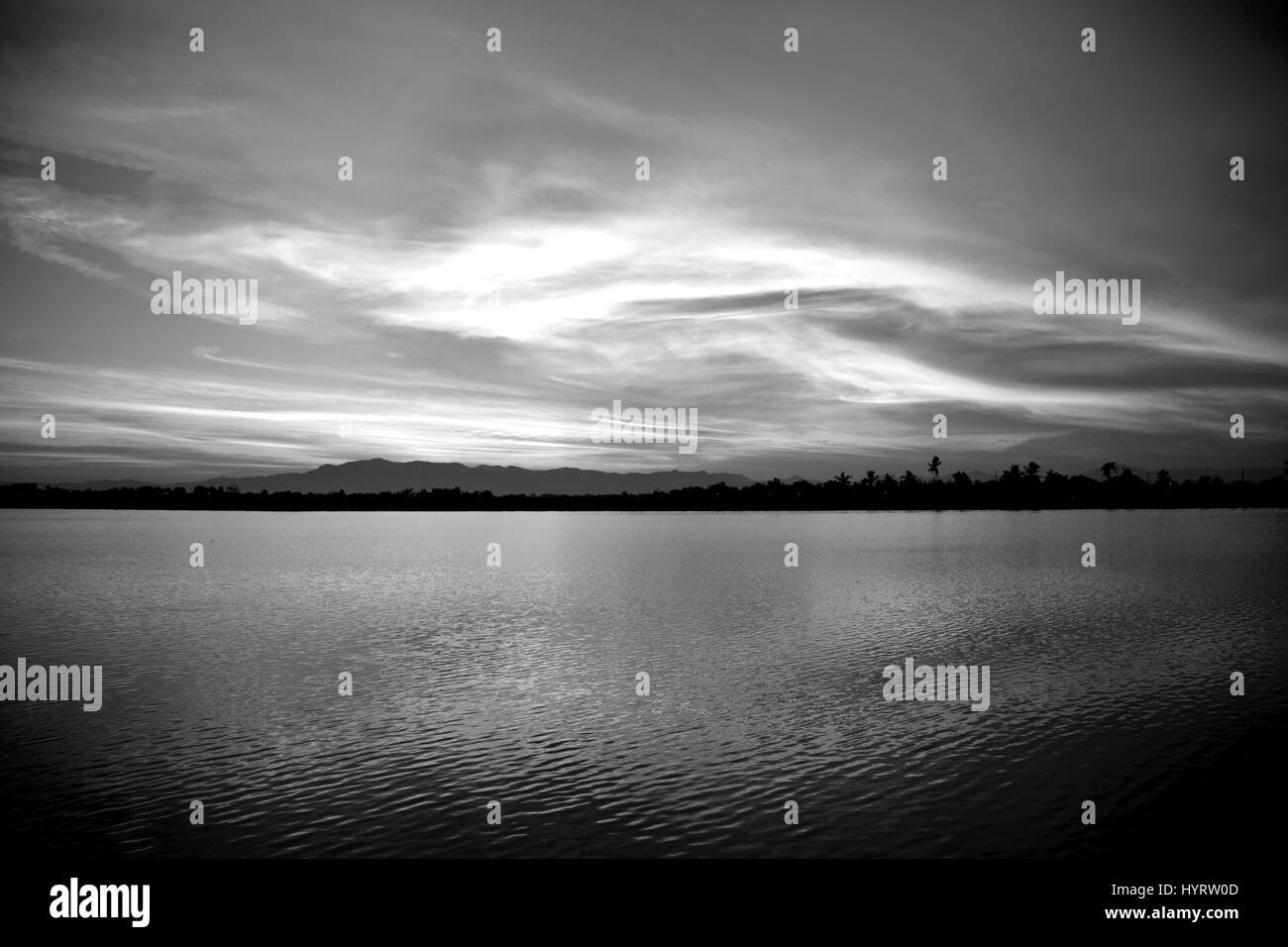 Bush sunrise with silhouette Black and White Stock Photos & Images - Alamy