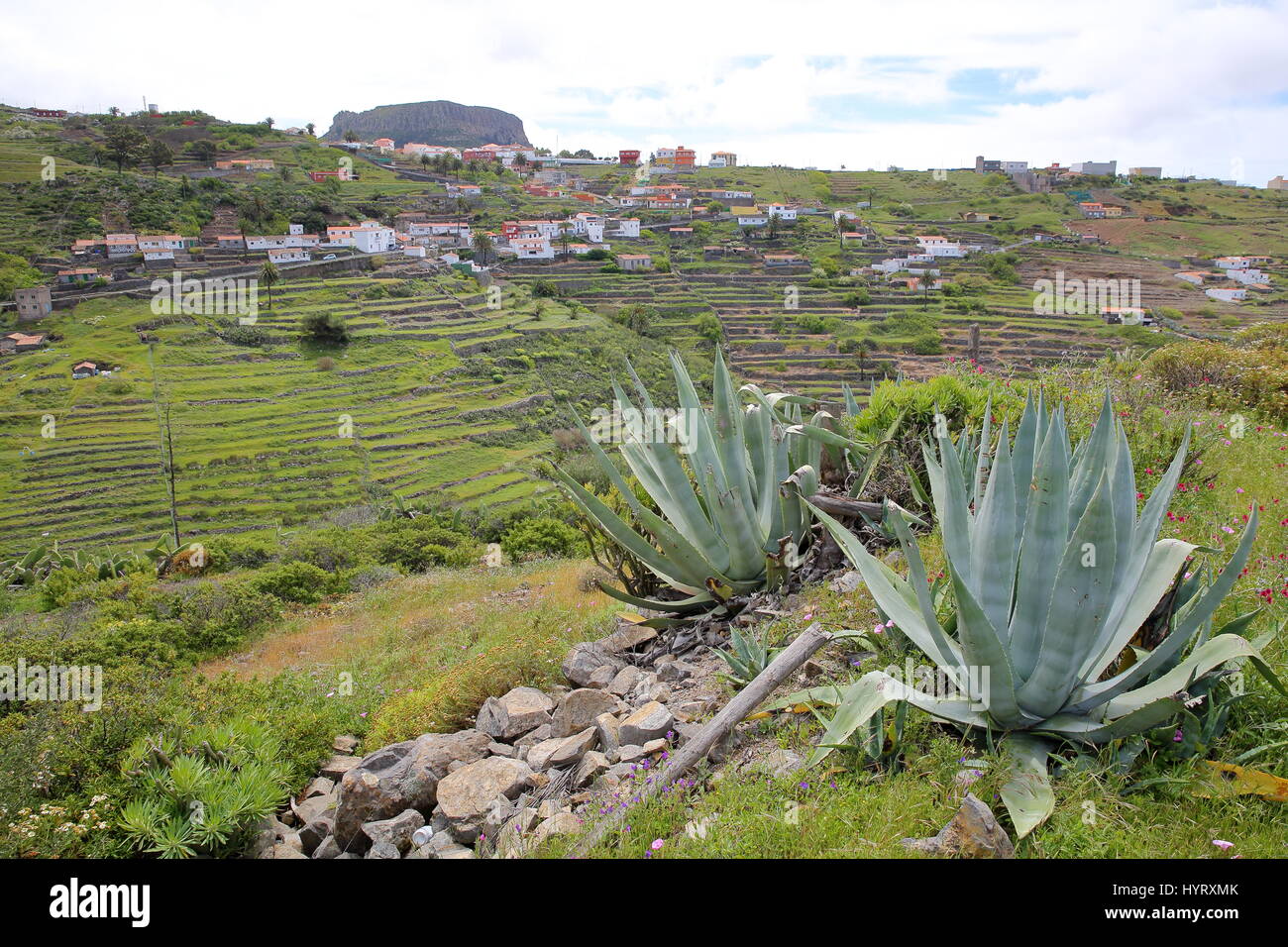 CHIPUDE, LA GOMERA, SPAIN: General view of the terraced fields of Chipude  with Fortaleza mountain in the background and Aloe Vera plants in the foreg Stock Photo