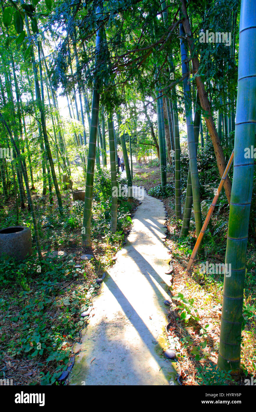 Footpath in the Garden of Jiro Shirasu House in Machida city Western ...