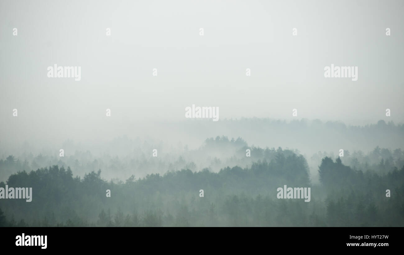 panoramic view of misty forest. far horizon Stock Photo - Alamy