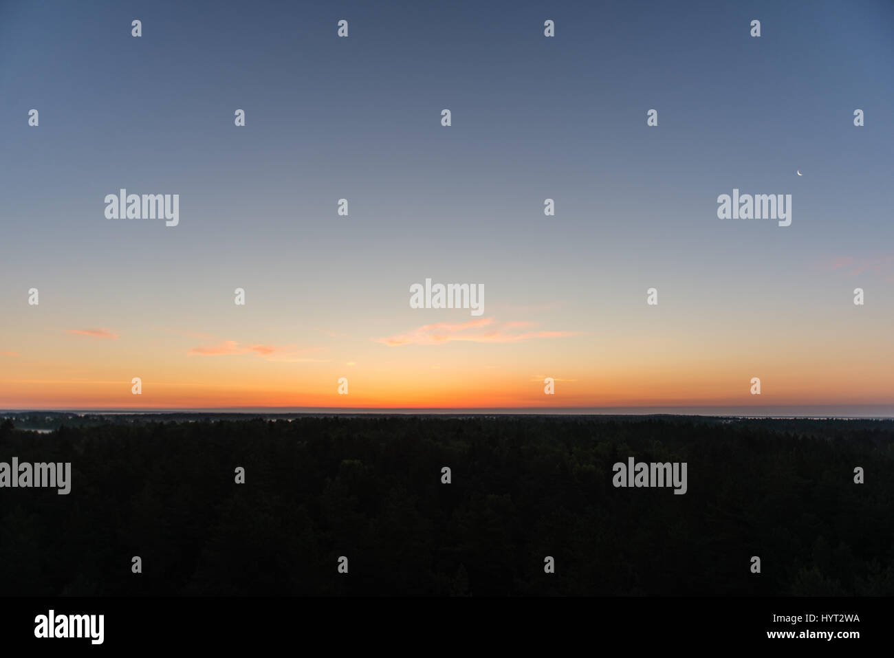 sunset over the forest in fog in summer Stock Photo - Alamy