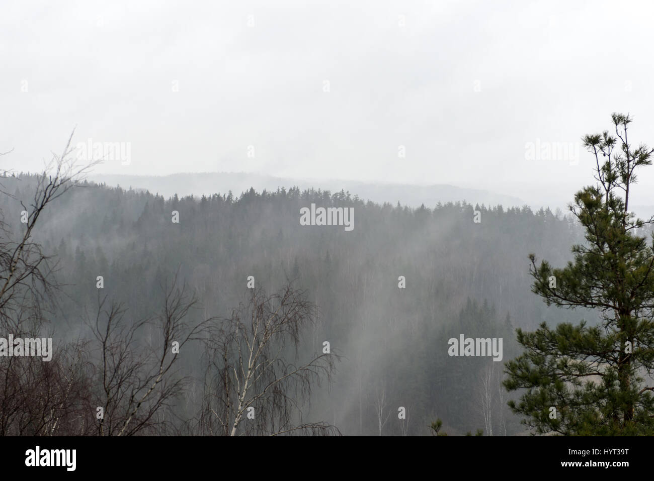 Misty Rain Misty Rain
