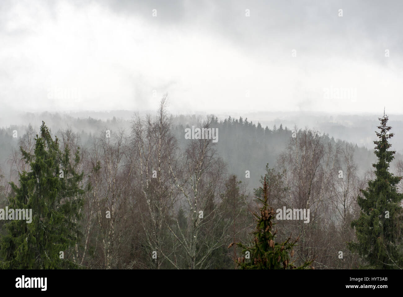 panoramic view of misty rain forest. far horizon Stock Photo - Alamy