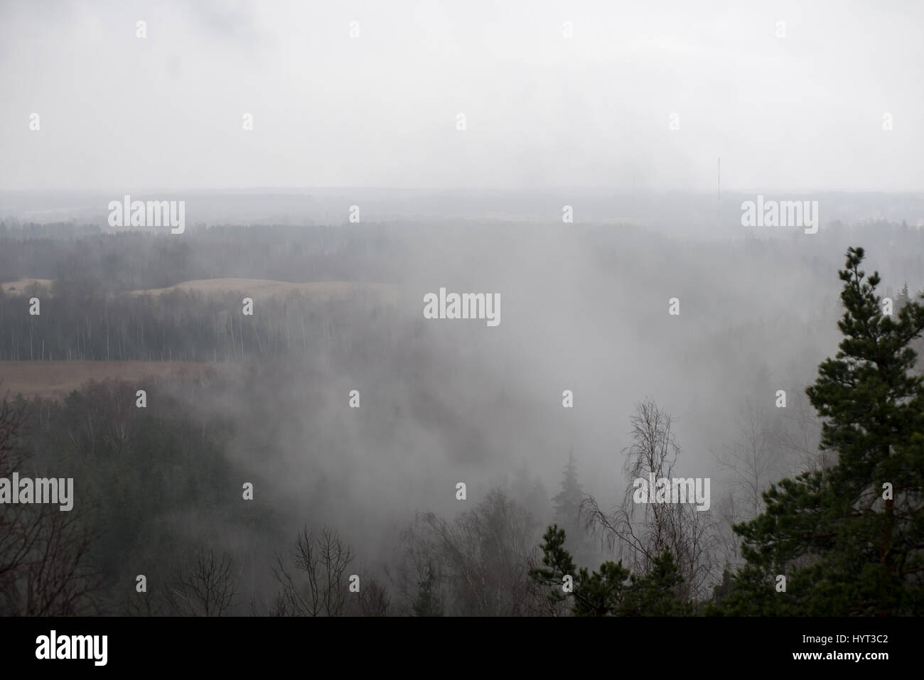 panoramic view of misty rain forest. far horizon Stock Photo - Alamy
