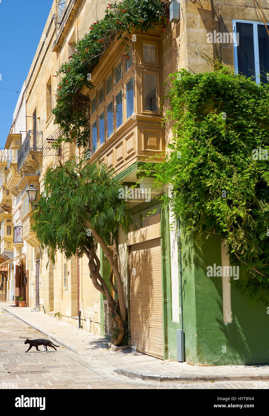 A view of Maltese house in the hot day and the black cat crosses the street. Birgu, Malta Stock Photo