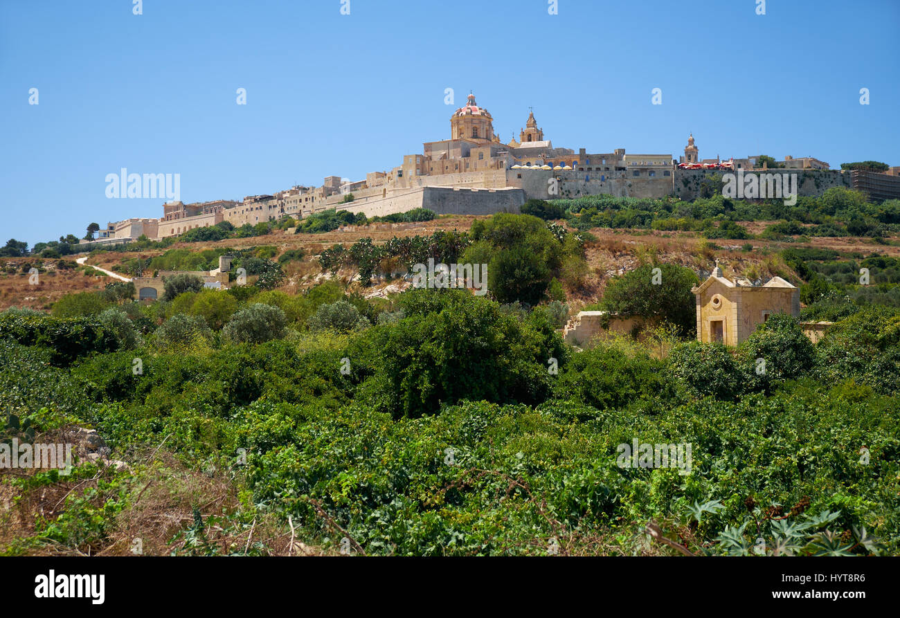 The view of the old capital Mdina with St. Paul's Cathedral surrounding by the fortress wall from the countryside below. Malta Stock Photo