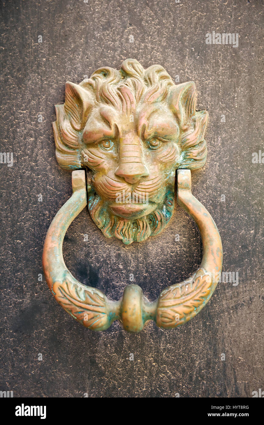 An old style decorative bronze door handles in form of lion head, the