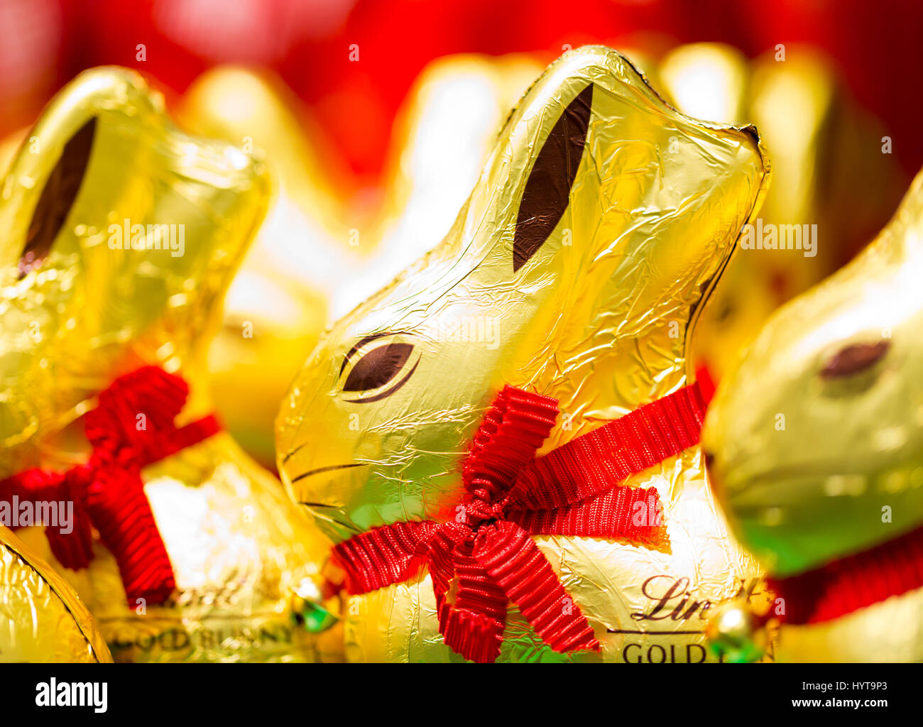 Easter bunny Lindt chocolate on shelves in supermarket for sale wrapped in golden foil. Lindt & Sprüngli  produces the highest quality premium chocola Stock Photo