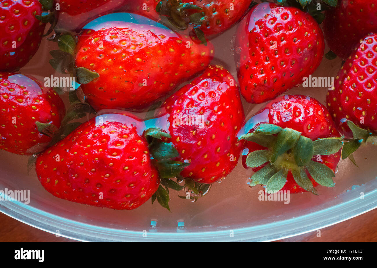Strawberries in water Stock Photo Alamy
