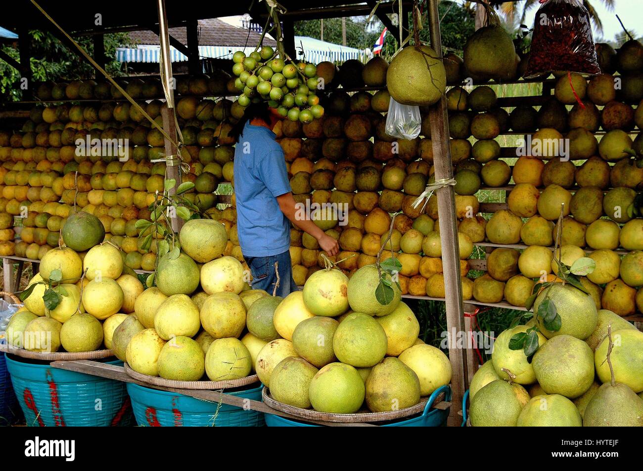 Nakhon Pathom, Thailand - December 27, 2005:  Locally grown Pomelo fruits for sale at a vendor's roadside fruit stand Stock Photo