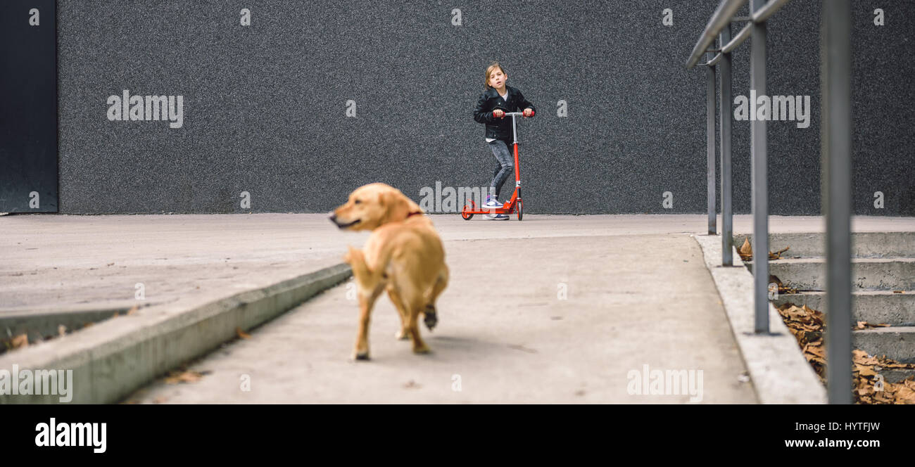 Girl wearing black leather jacket driving red scooter with a small yellow dog in a foreground Stock Photo