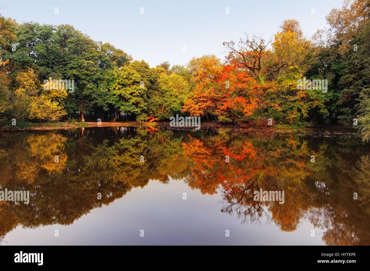 Lake water reflection autumn tree shore colour color tree hi-res stock ...