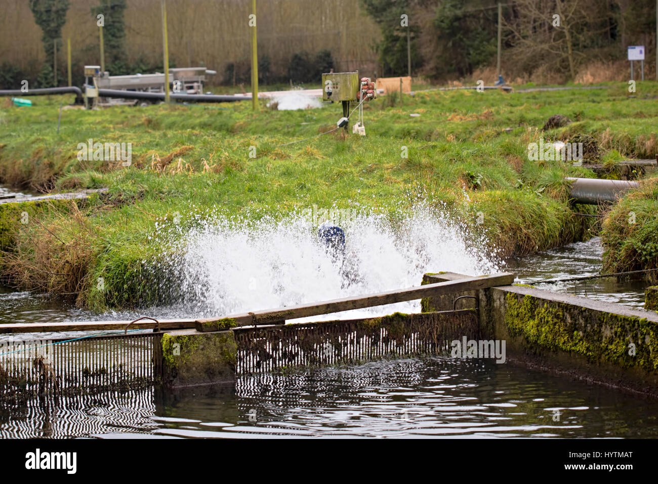 Trout farm, Kilkenny Ireland Stock Photo Alamy