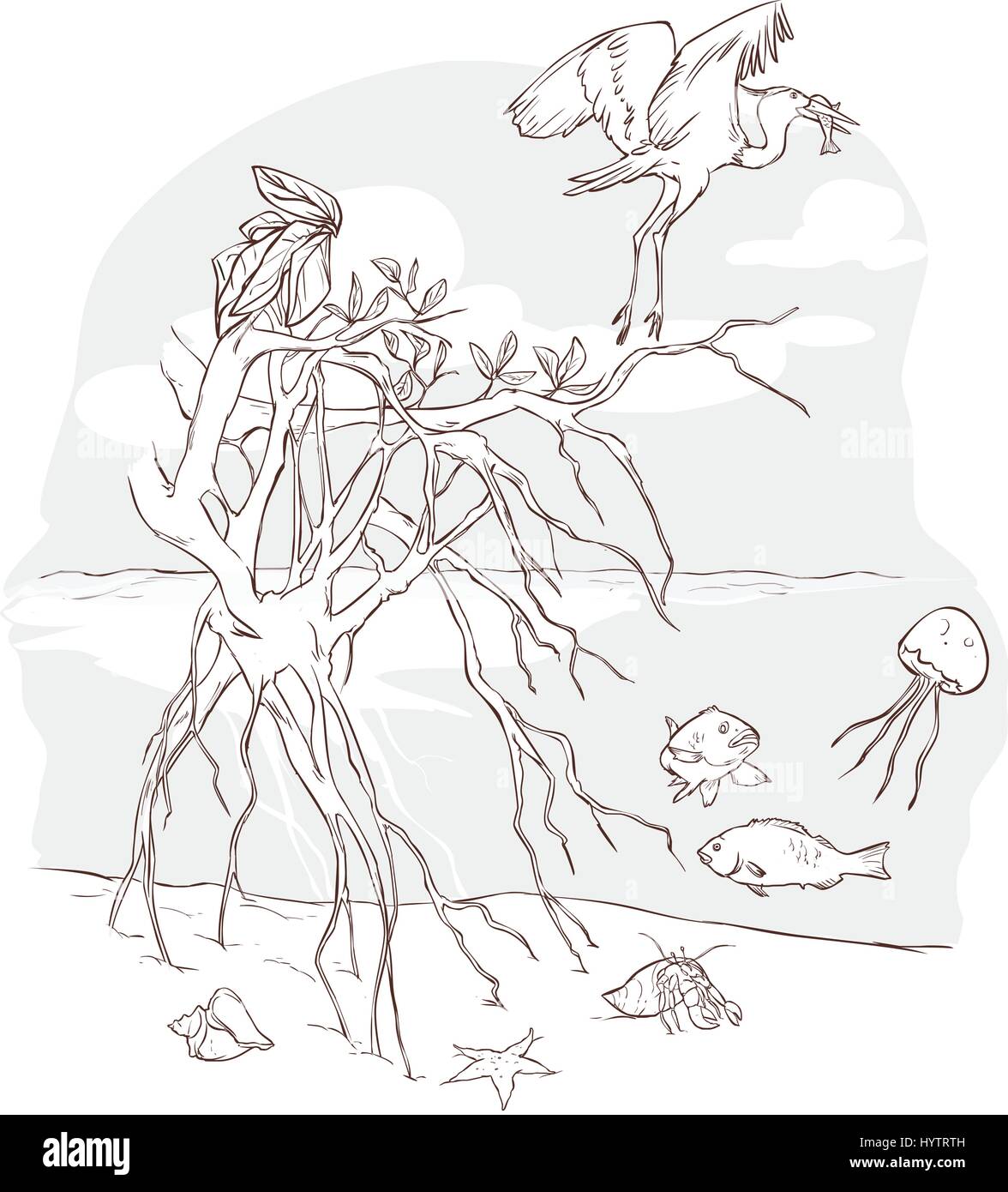 vector illustration of a Marine Ecosystem Stock Vector Image & Art - Alamy