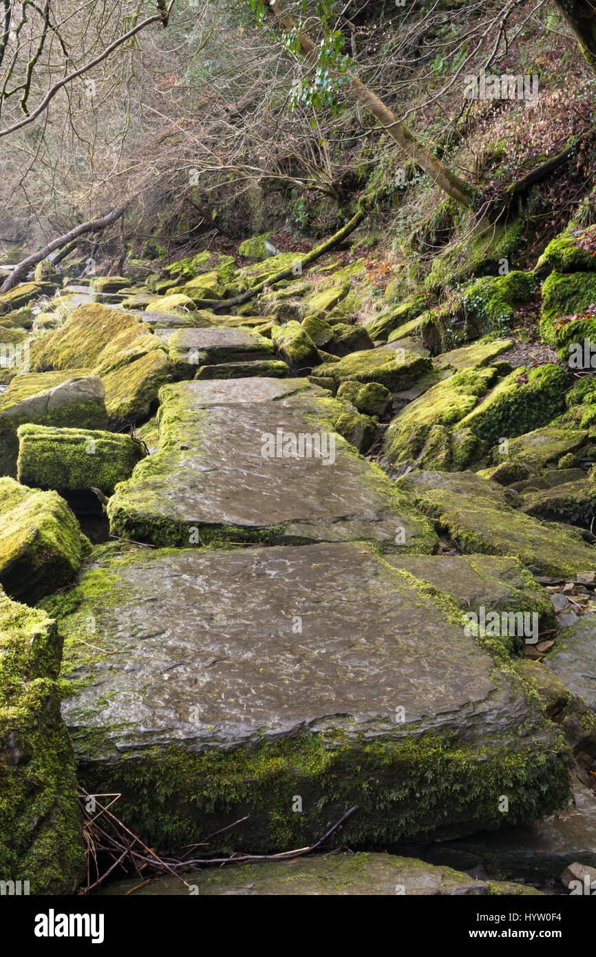 Flagged path along the river Swale in North Yorkshire Stock Photo
