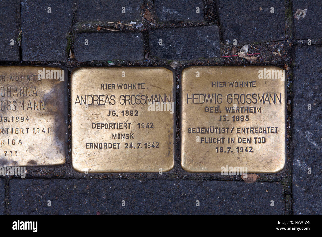 Germany, Cologne, Stolpersteine (stumbling stones) by the artist Gunter Demnig. The stones commemorate the victims of National Socialism (Nazi time). Stock Photo